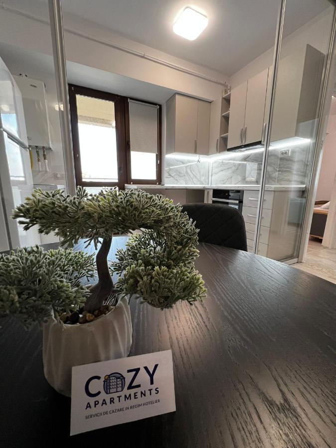 Cozy Apartments - City Center Iasi Exteriör bild